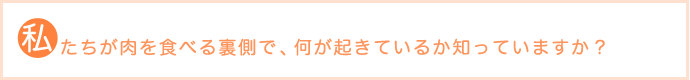 私たちが肉を食べる裏側で、何が起きているか知っていますか？