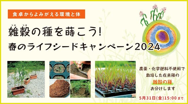 農薬・化学肥料不使用で栽培した在来種の「雑穀の種」お分けします　配布期間4/1~5/31(金)15:00まで