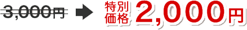 3000円⇒特別価格2000円