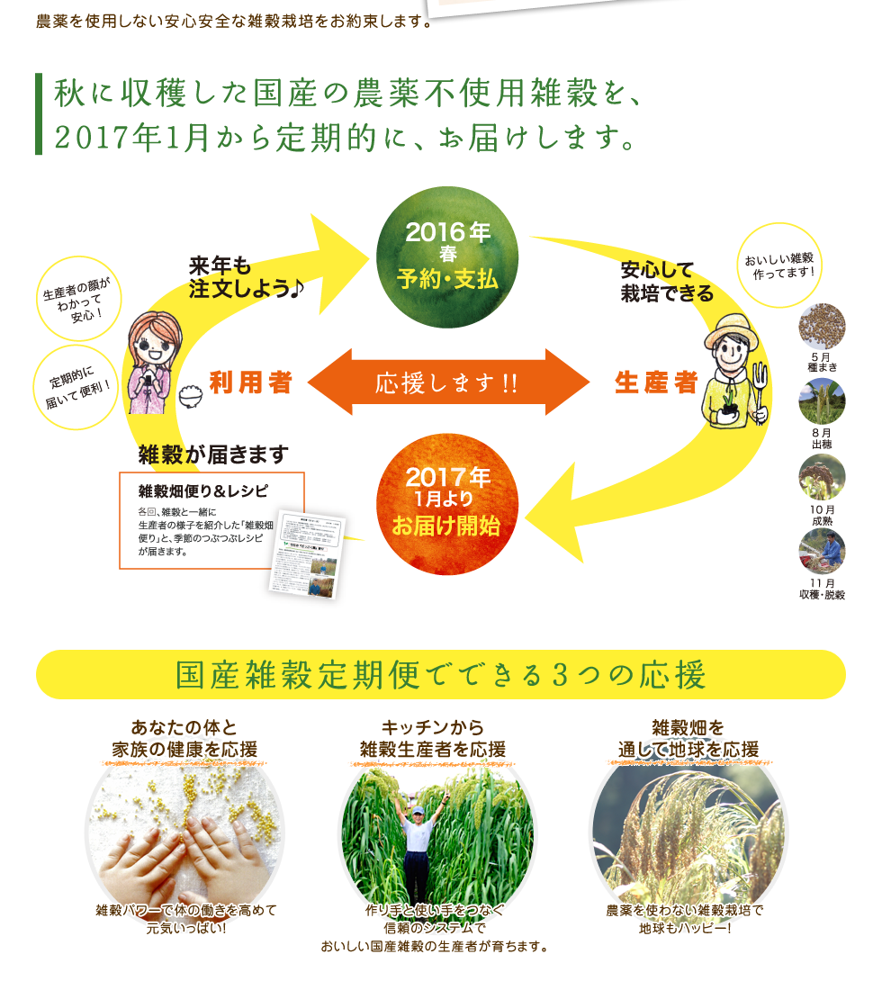 秋に収穫した国産の農薬不使用雑穀