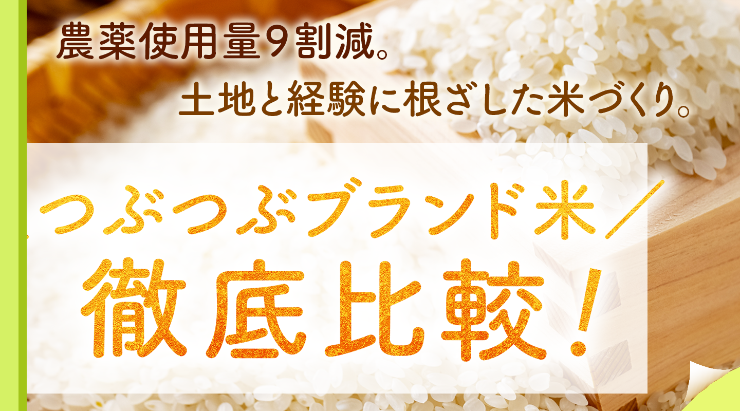 つぶつぶのお米をスタッフで食べ比べ♪その結果は！？