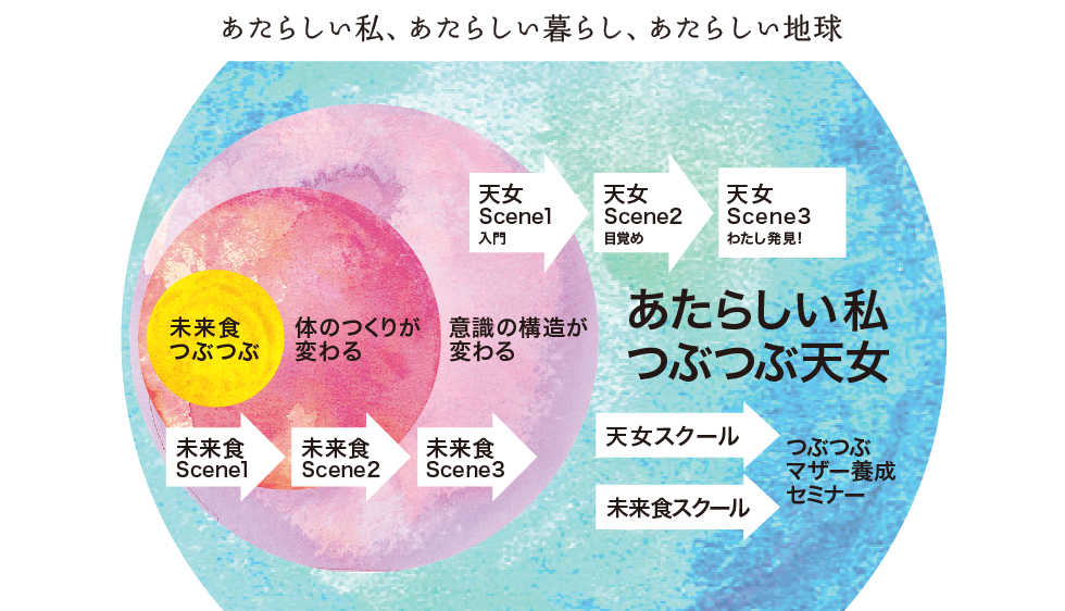 つぶつぶの基本のセミナーシステム